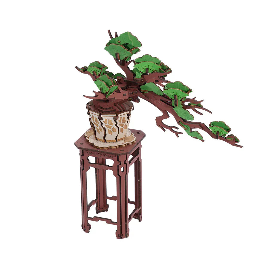 Bonsái de Pino Perenne - Puzzle 3D de Madera para Armar (Rolife)
