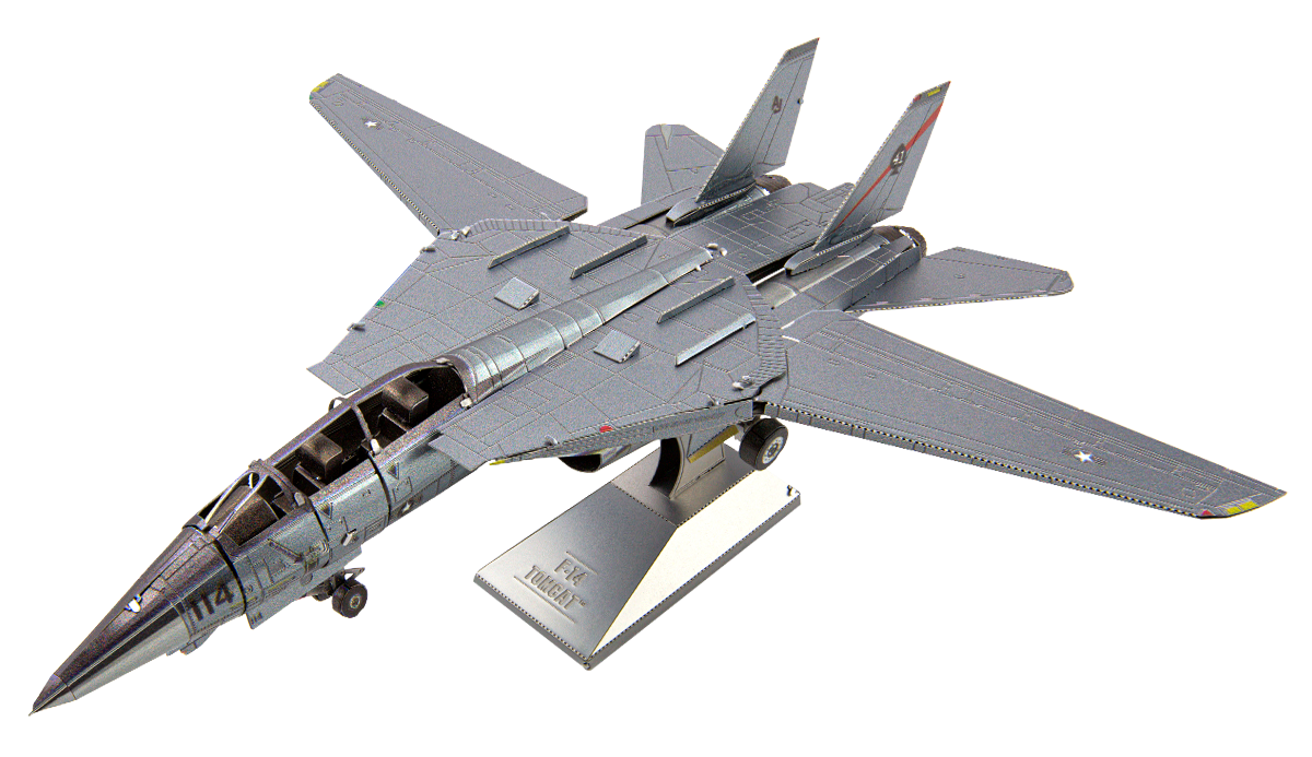 F-14 TOMCAT™
